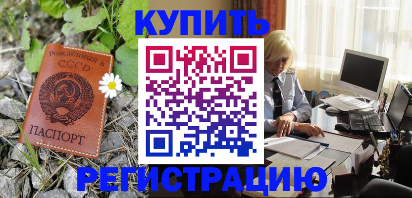 временная регистрация поиск в Белокурихе